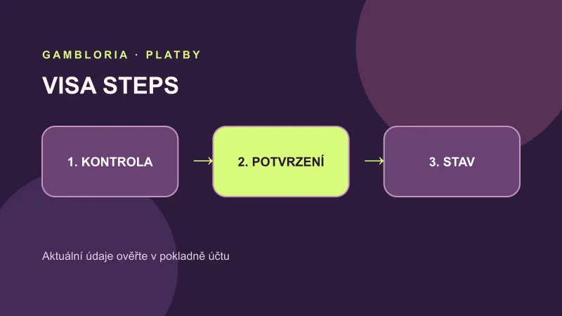 Postup vkladu metodou Visa v sedmi krocích
