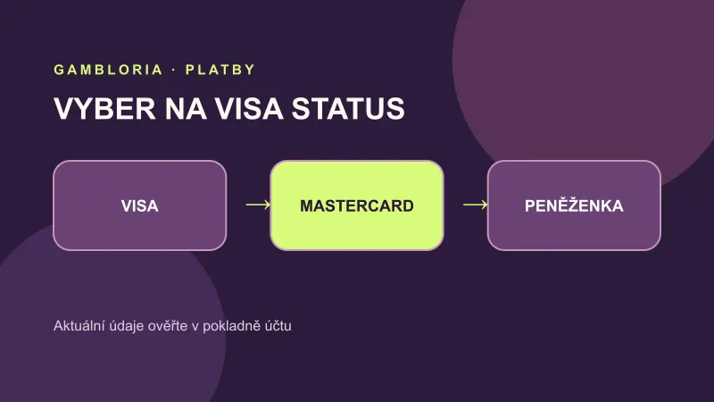 Stavy zpracování výběru na Visa
